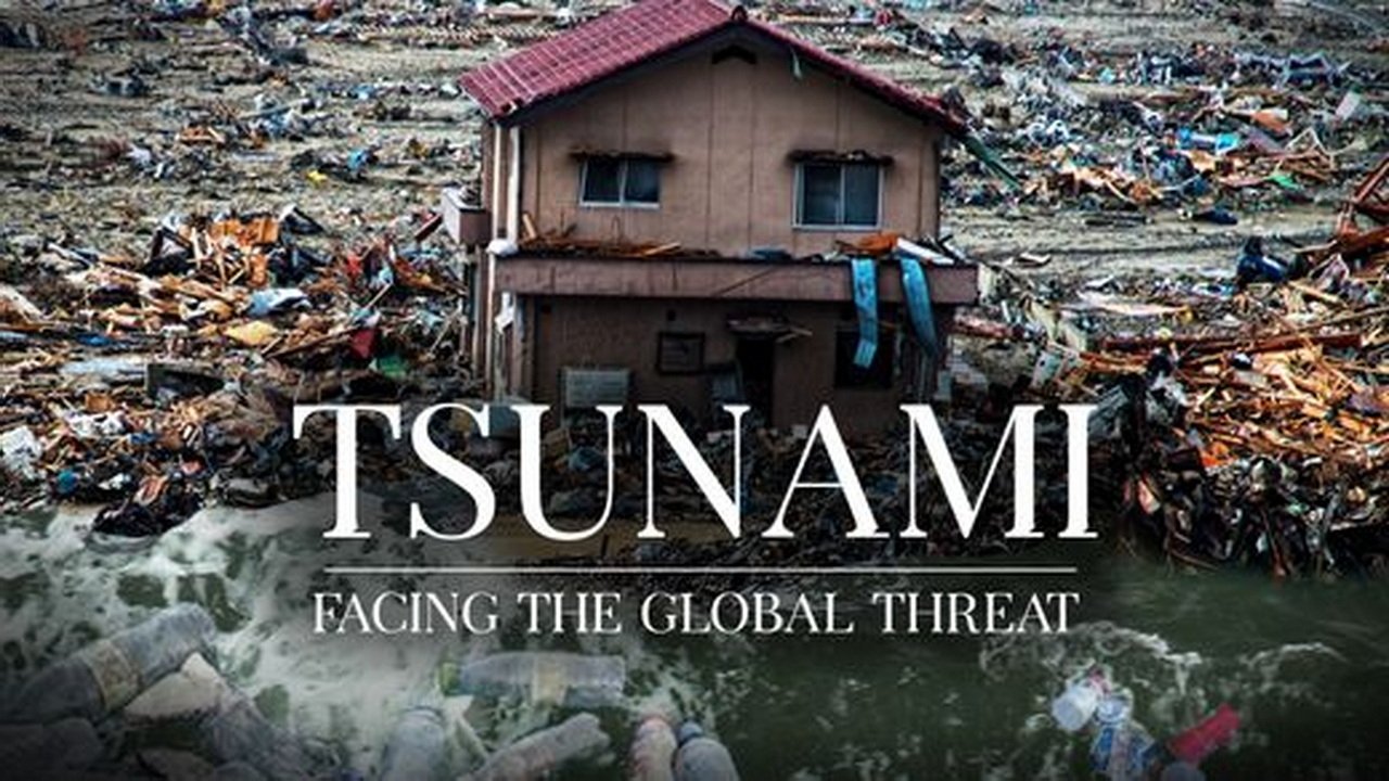 Tsunamis, une menace planétaire (2020)