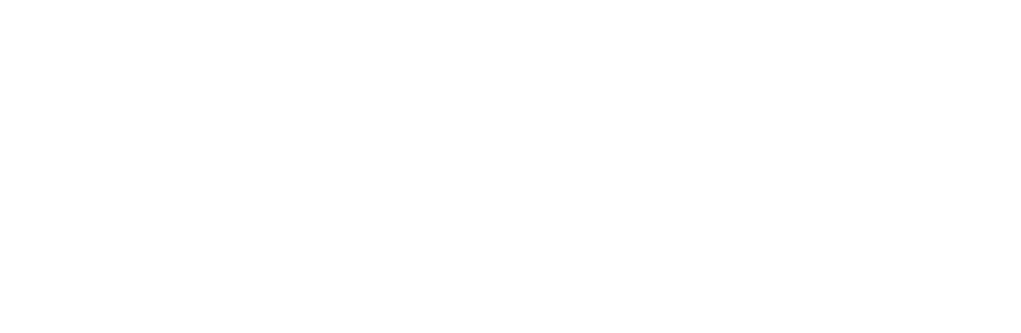 NO BLINK Group