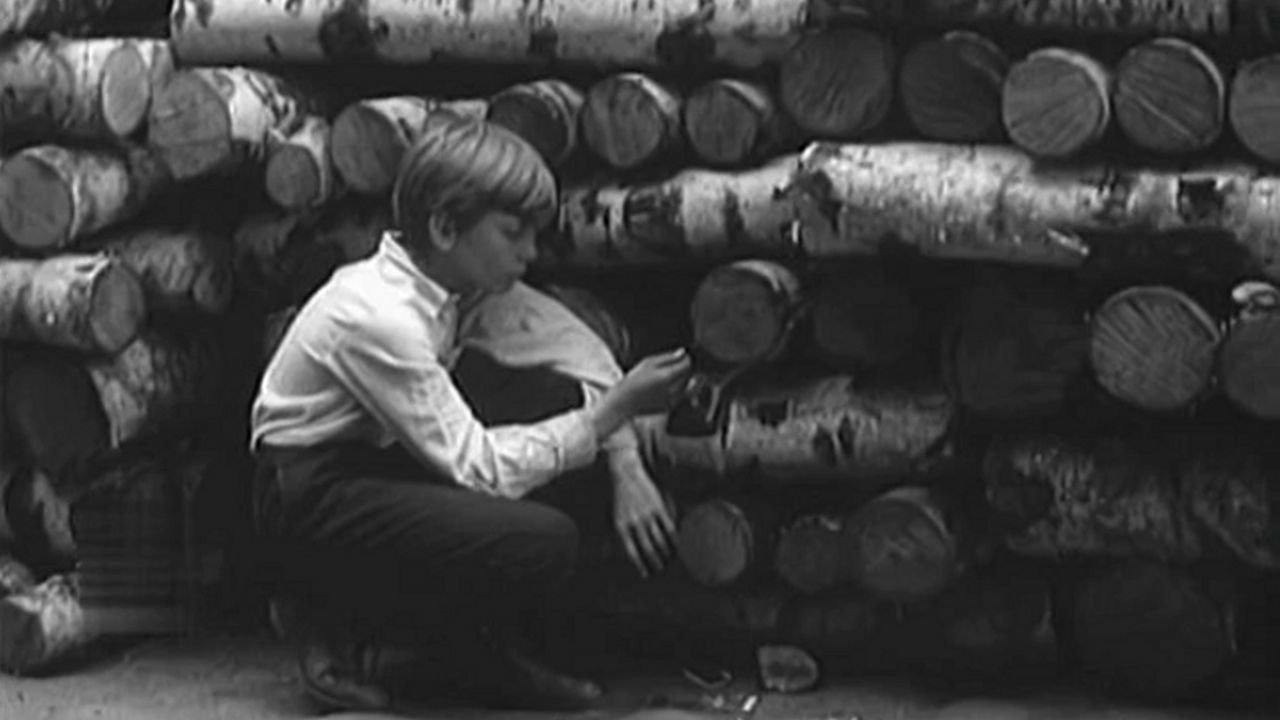 Boys (1969)