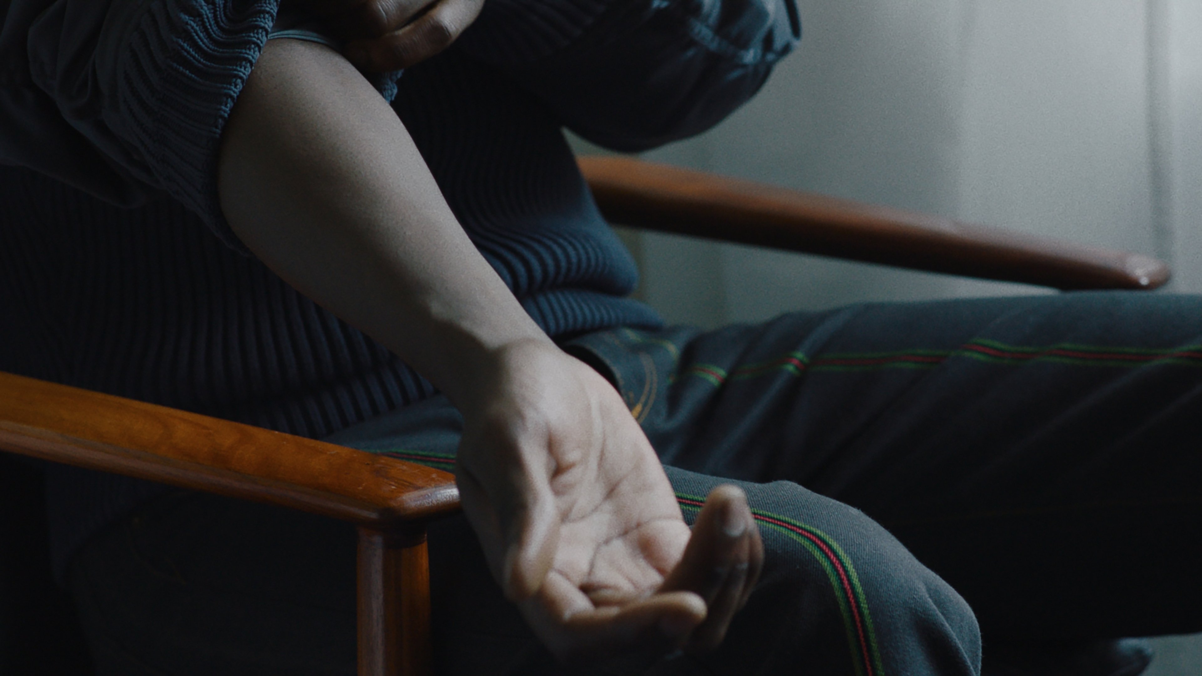 Conference of the Birds (2025)