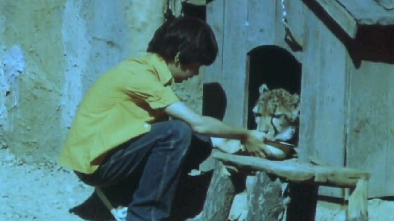 Imagem do Filme Клетка