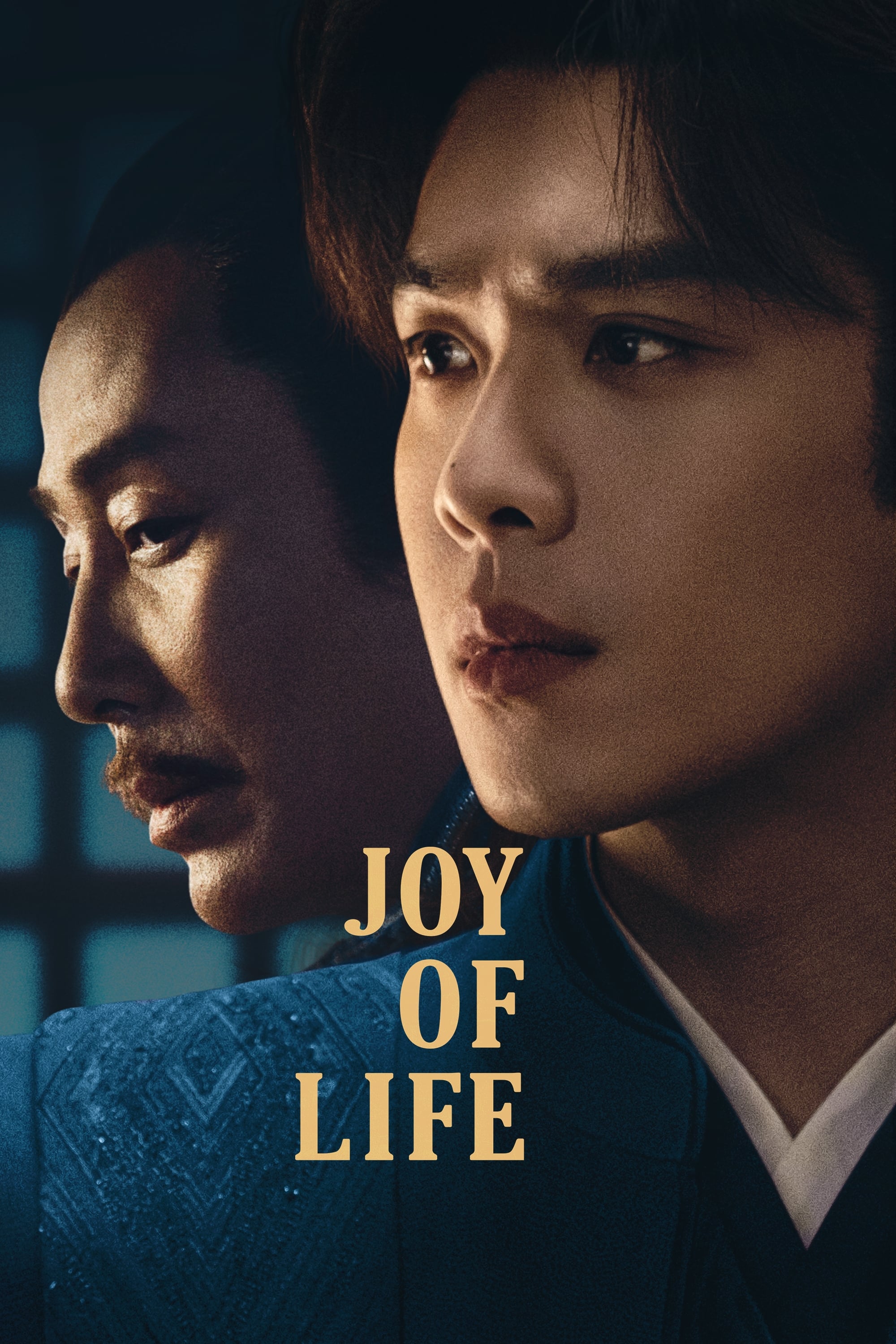 poster tv Joy of Life