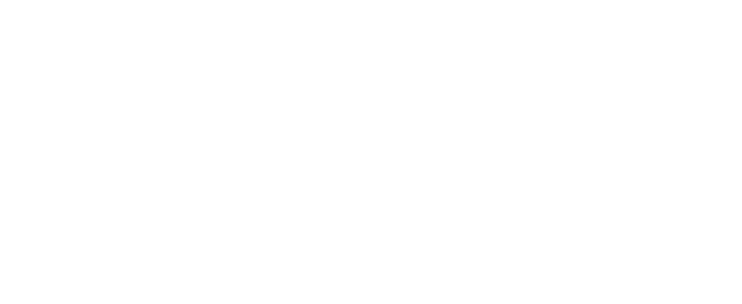 The Aryan Papers logo