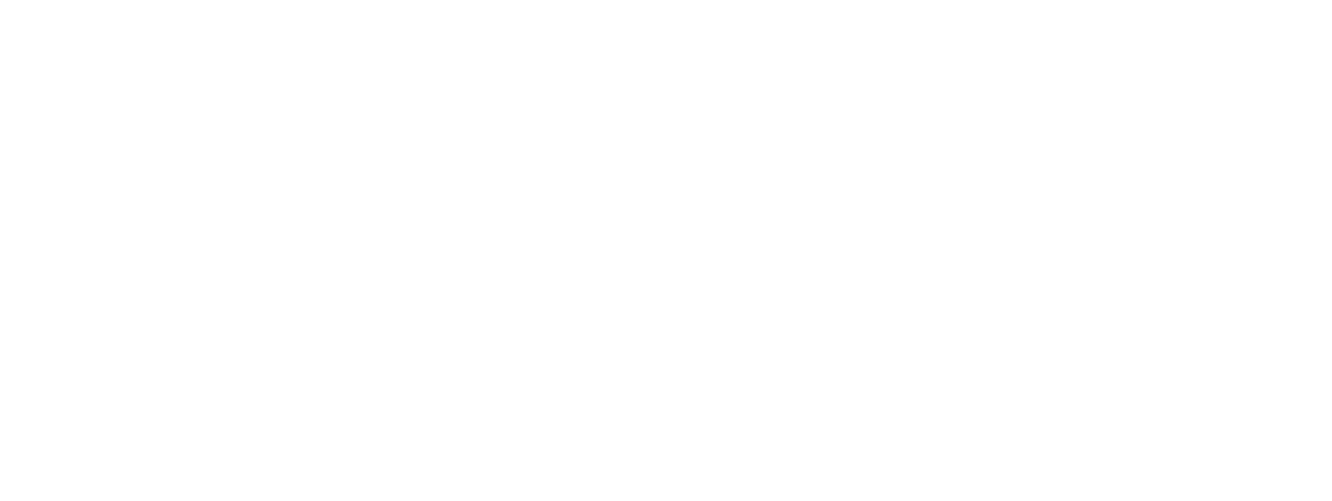 The Last Thing Mary Saw