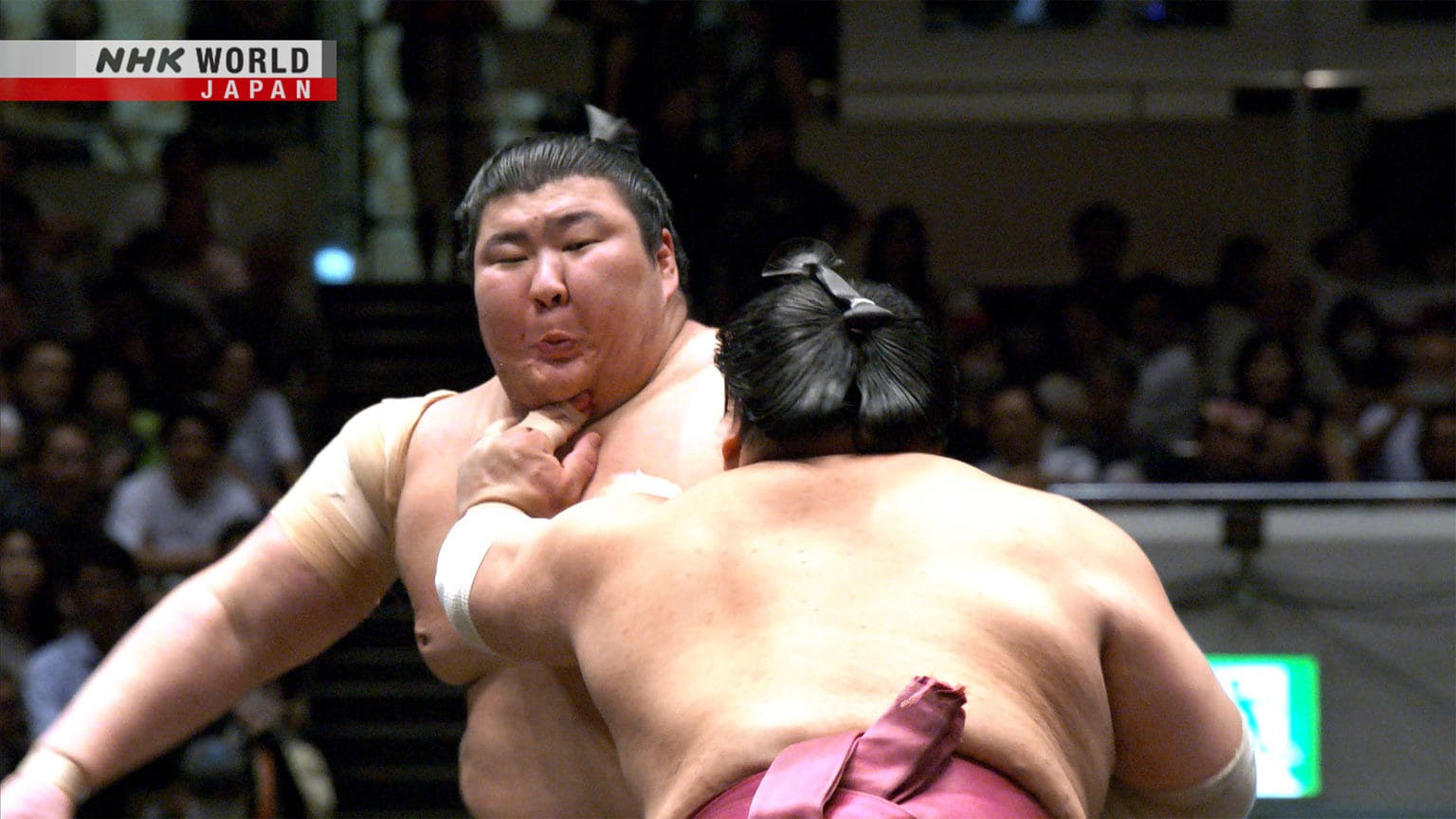 GRAND SUMO Highlights Staffel 19 :Folge 12 