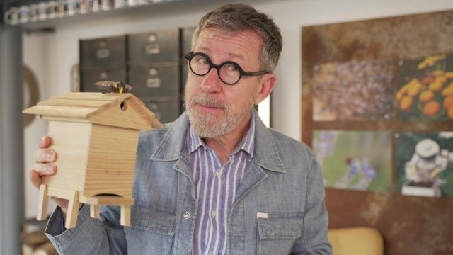 C Jamy - Les abeilles : dans les secrets de la ruche
