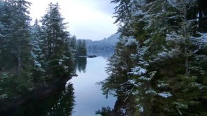 Port Protection Alaska - Épisode 9