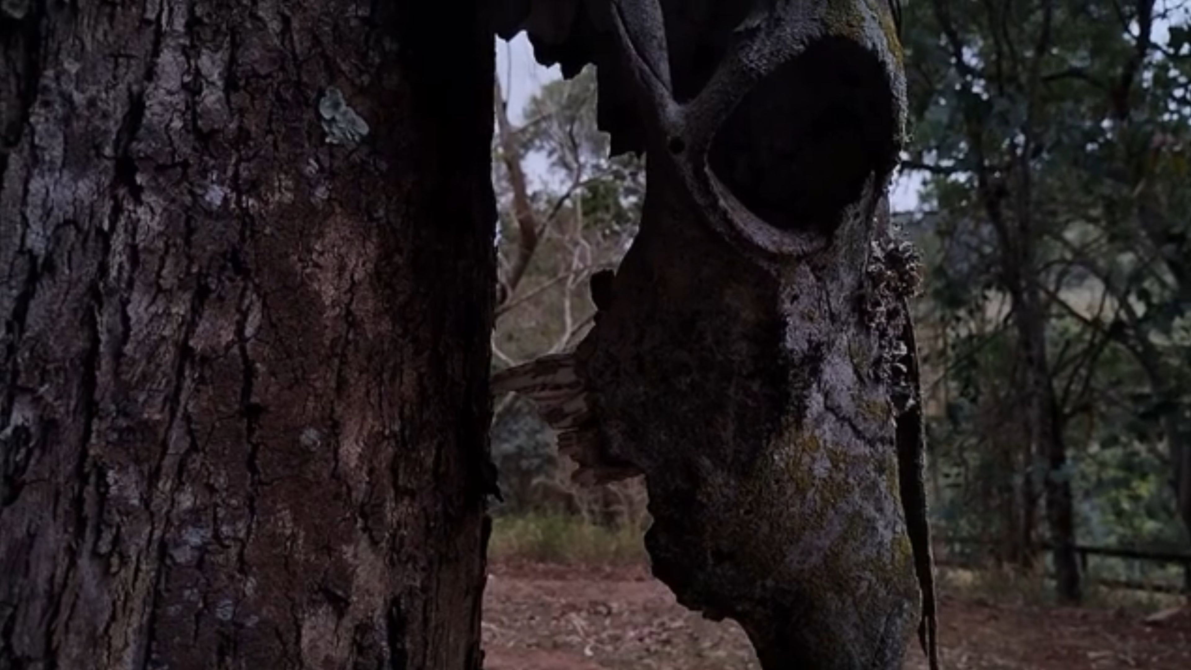 Morto-vivo Backdrop Blur