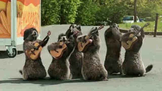 Les Marmottes - Gipsy King