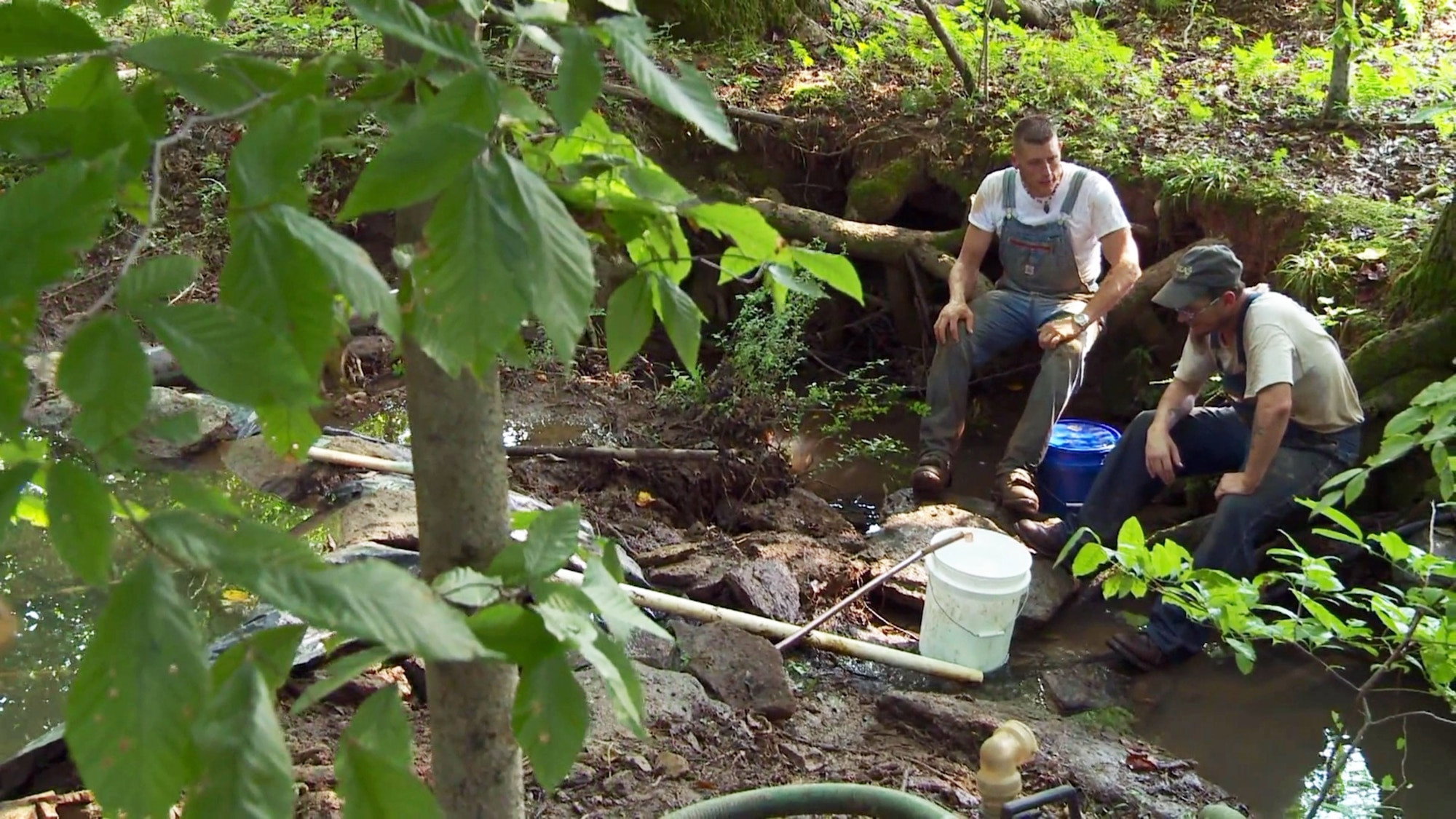 Blue Moonshine still