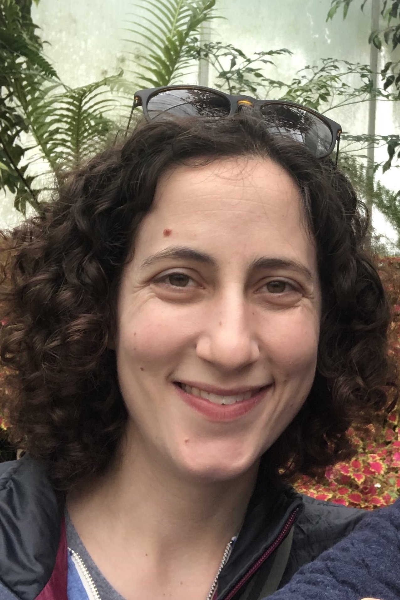 Anne Abramowitz Junget | Writer