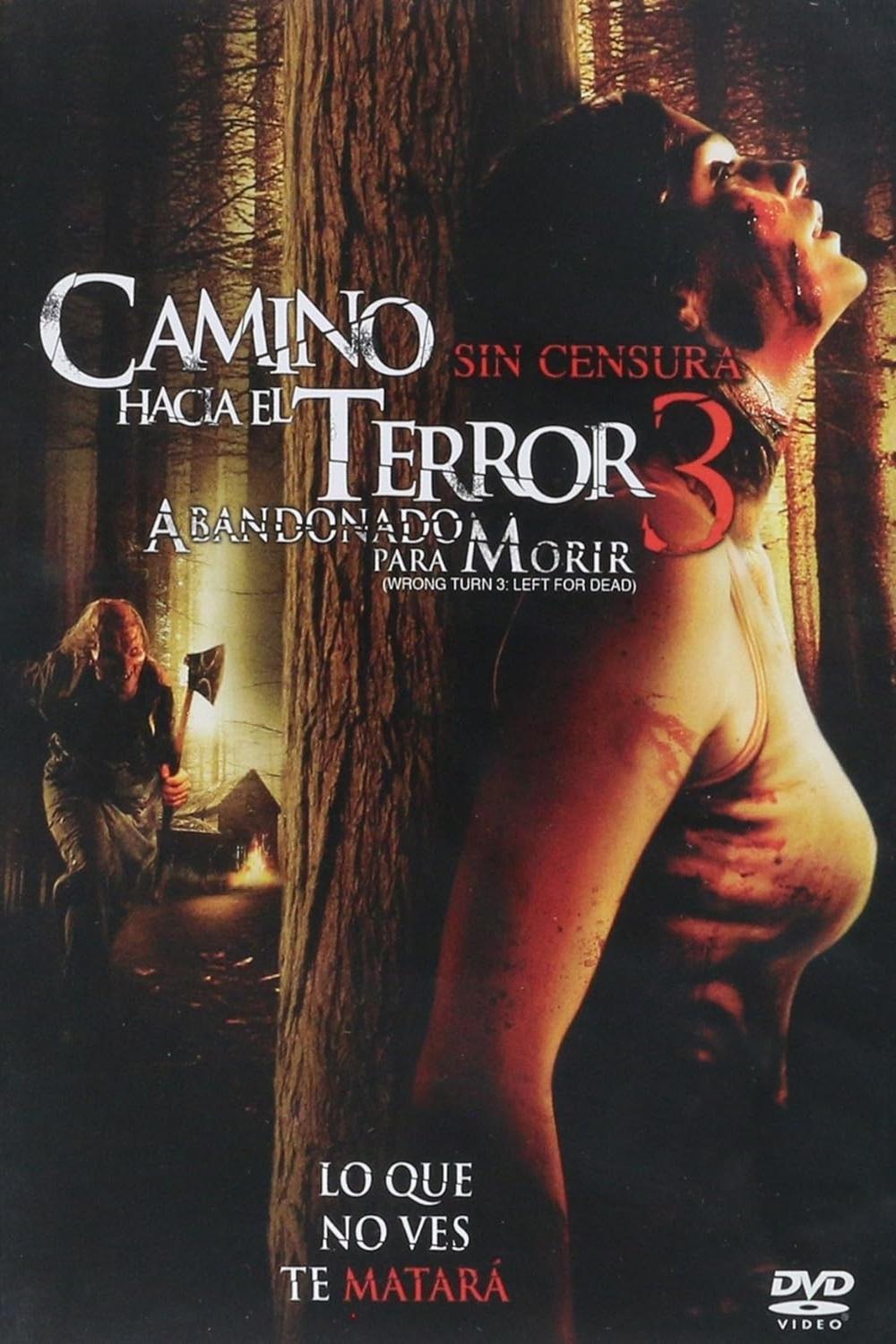 Camino hacia el terror 3