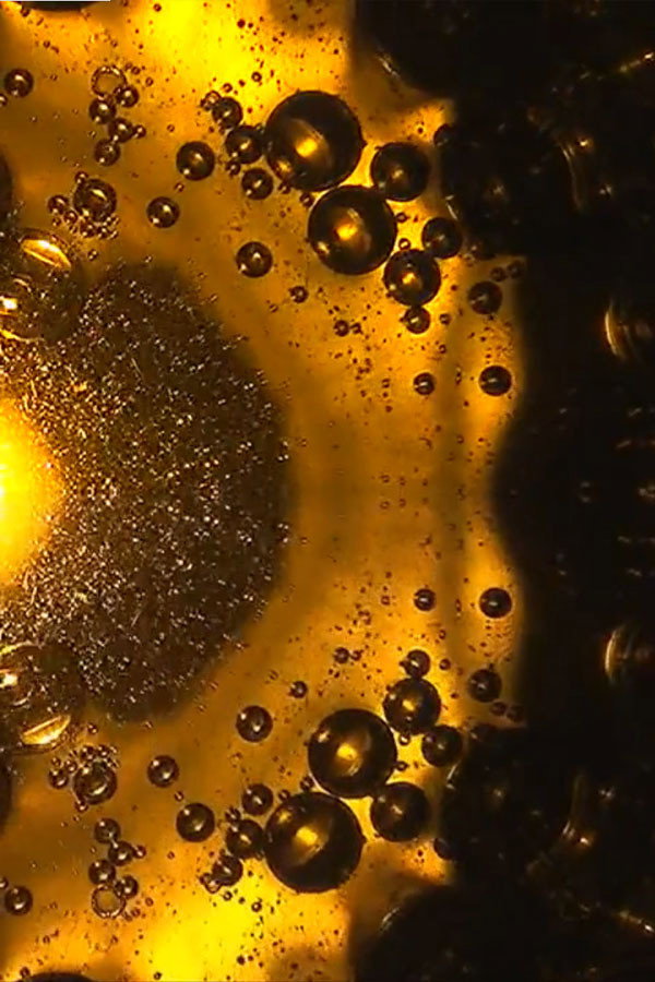 Oil and Water