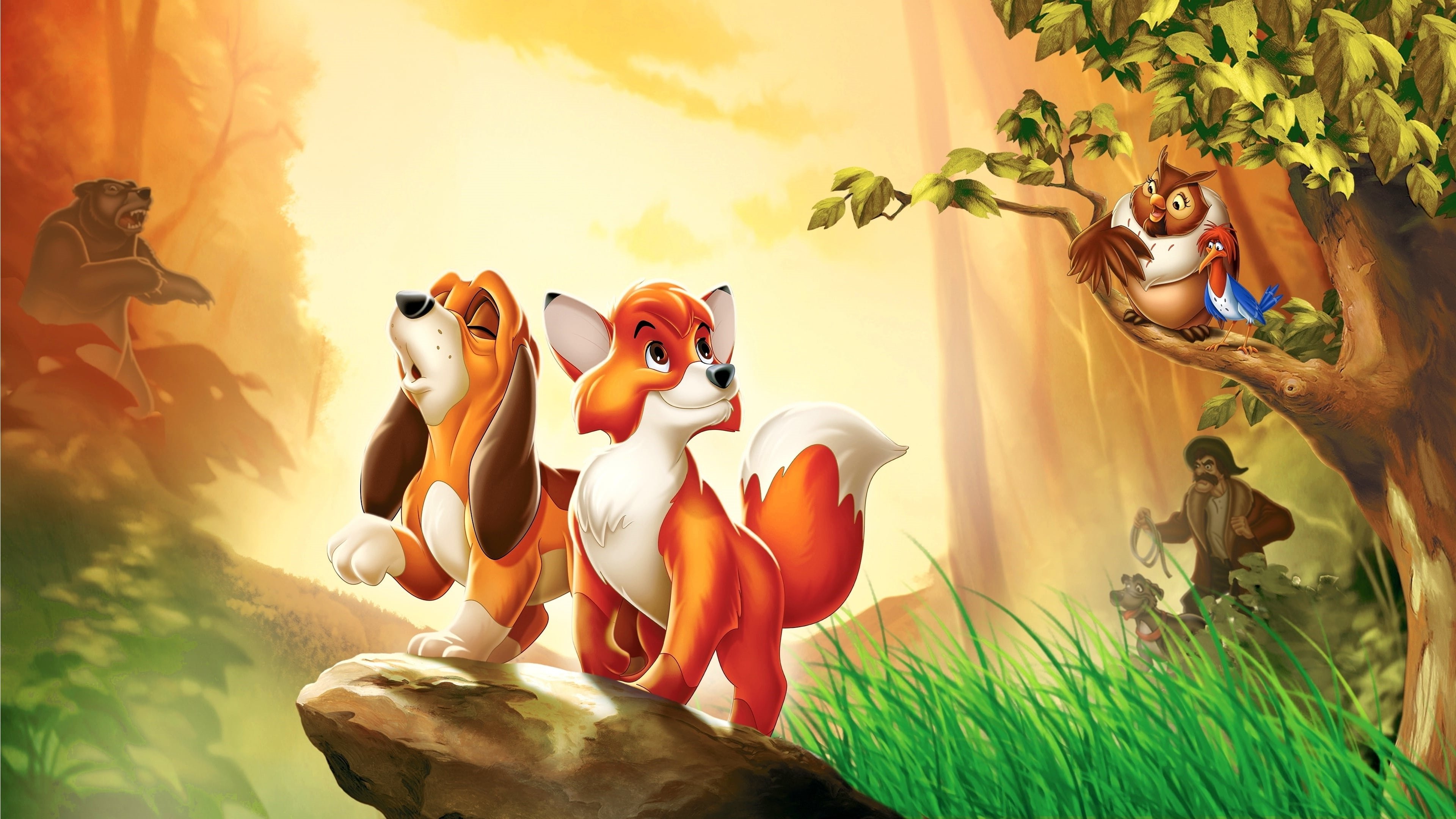 The Fox and the Hound