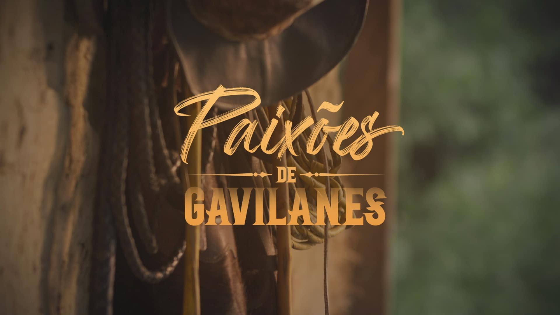 Pasión de Gavilanes - Season 1 Episode 159 : As if He Were Martin