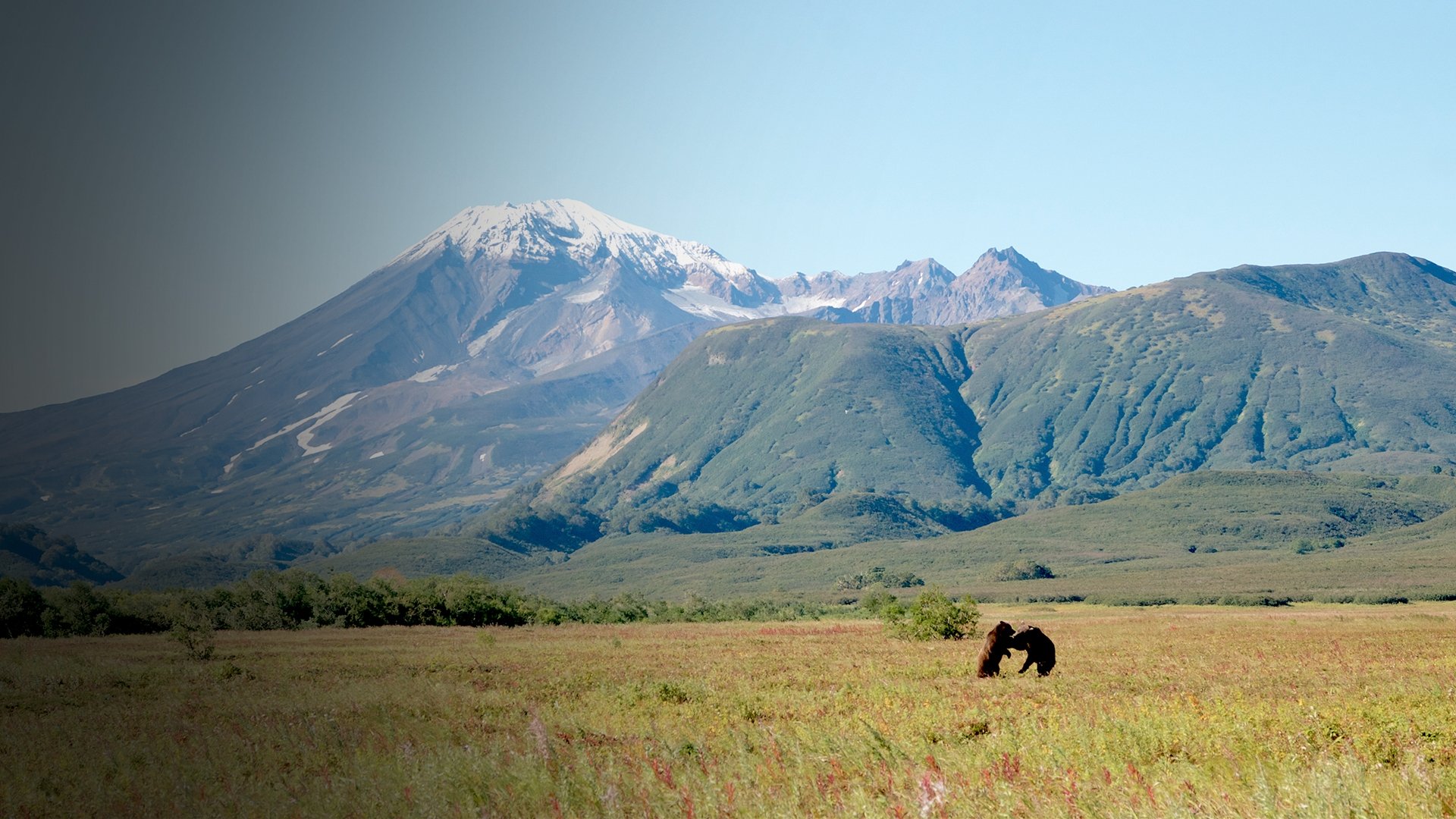 Wild Russia