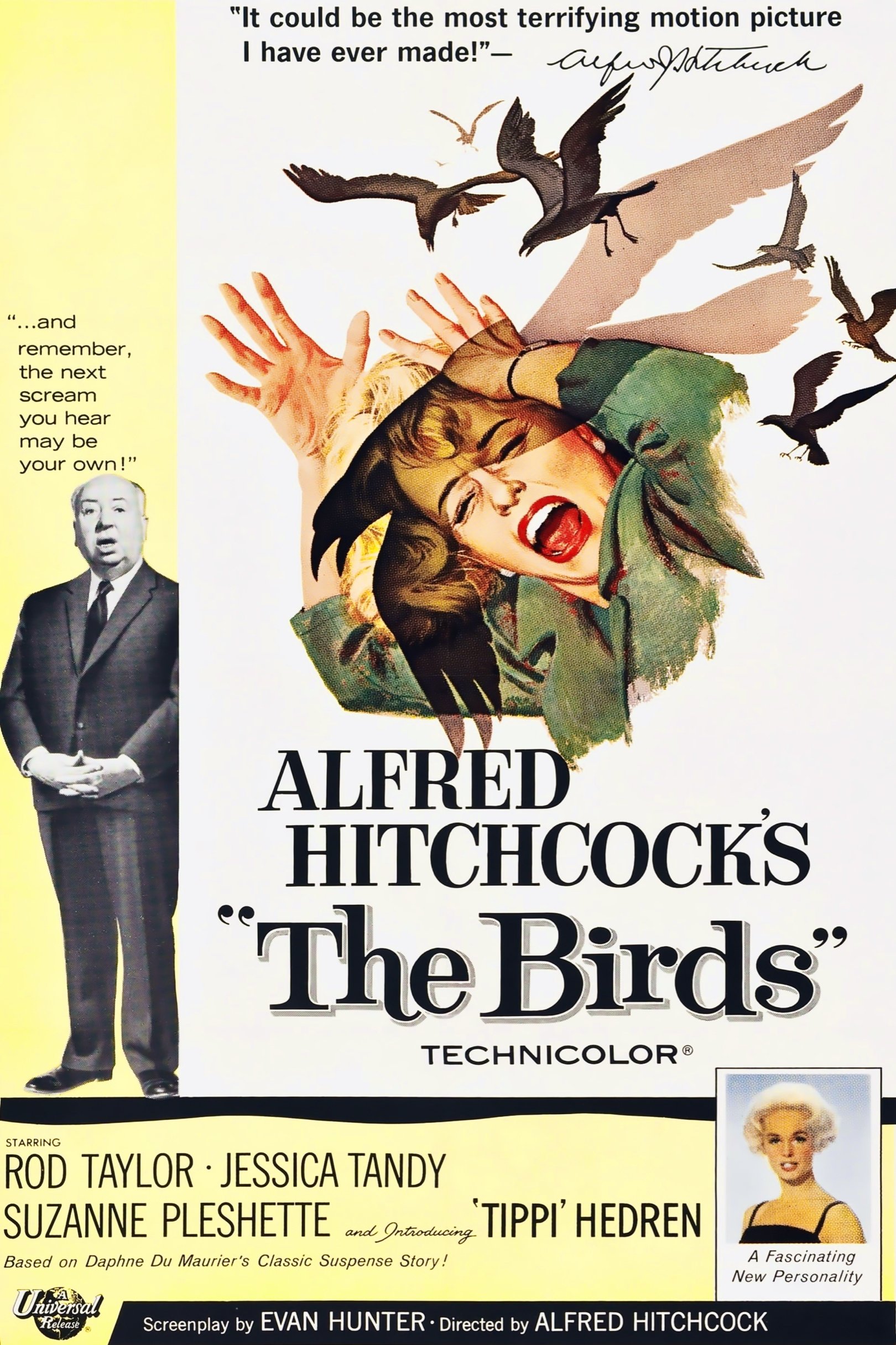 The Birds