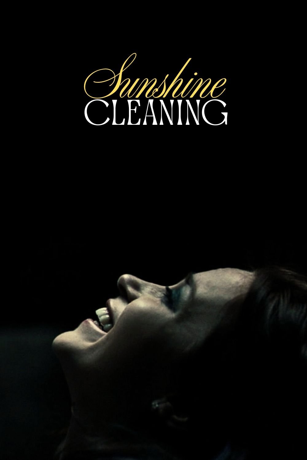 Sunshine Cleaning