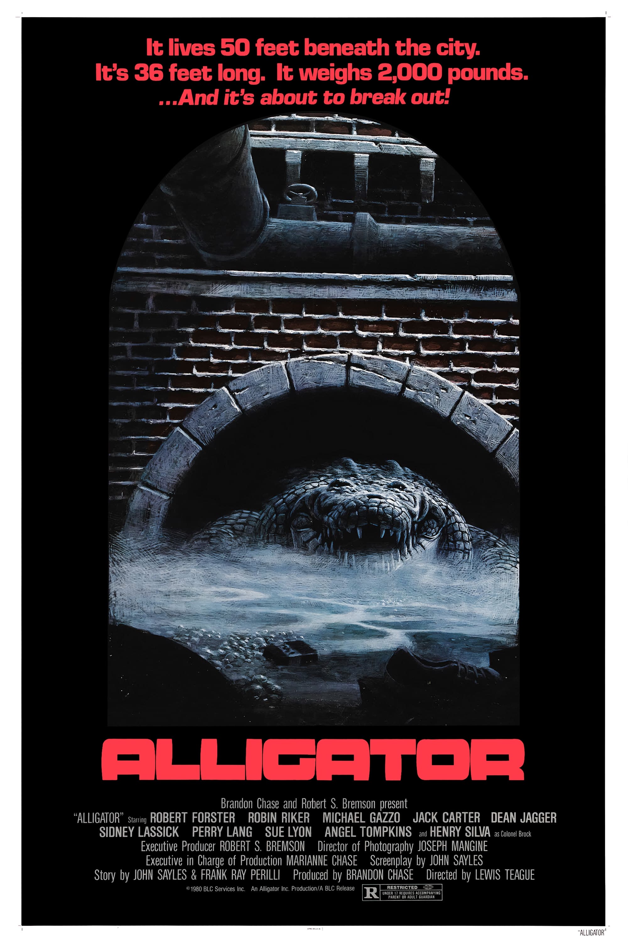 Alligator