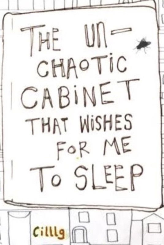 The Un-Chaotic Cabinet That Wishes for me to Sleep