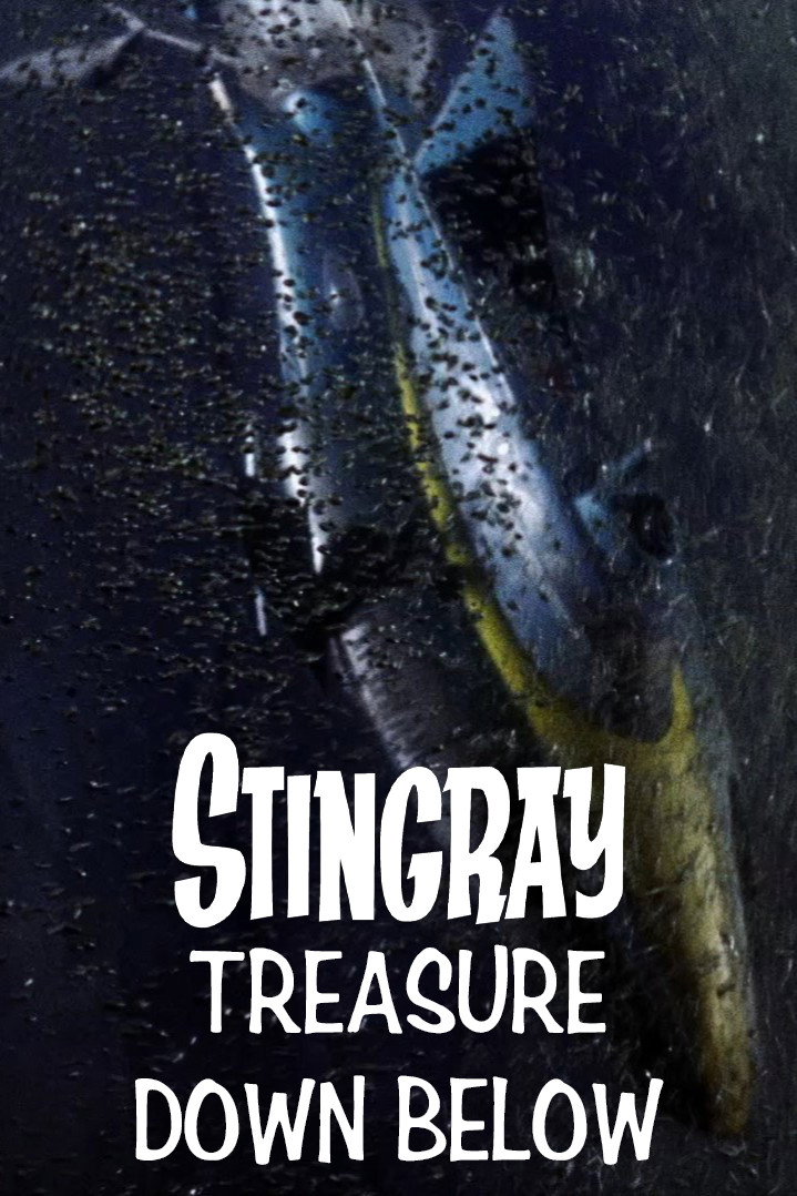 Stingray: Treasure Down Below Poster