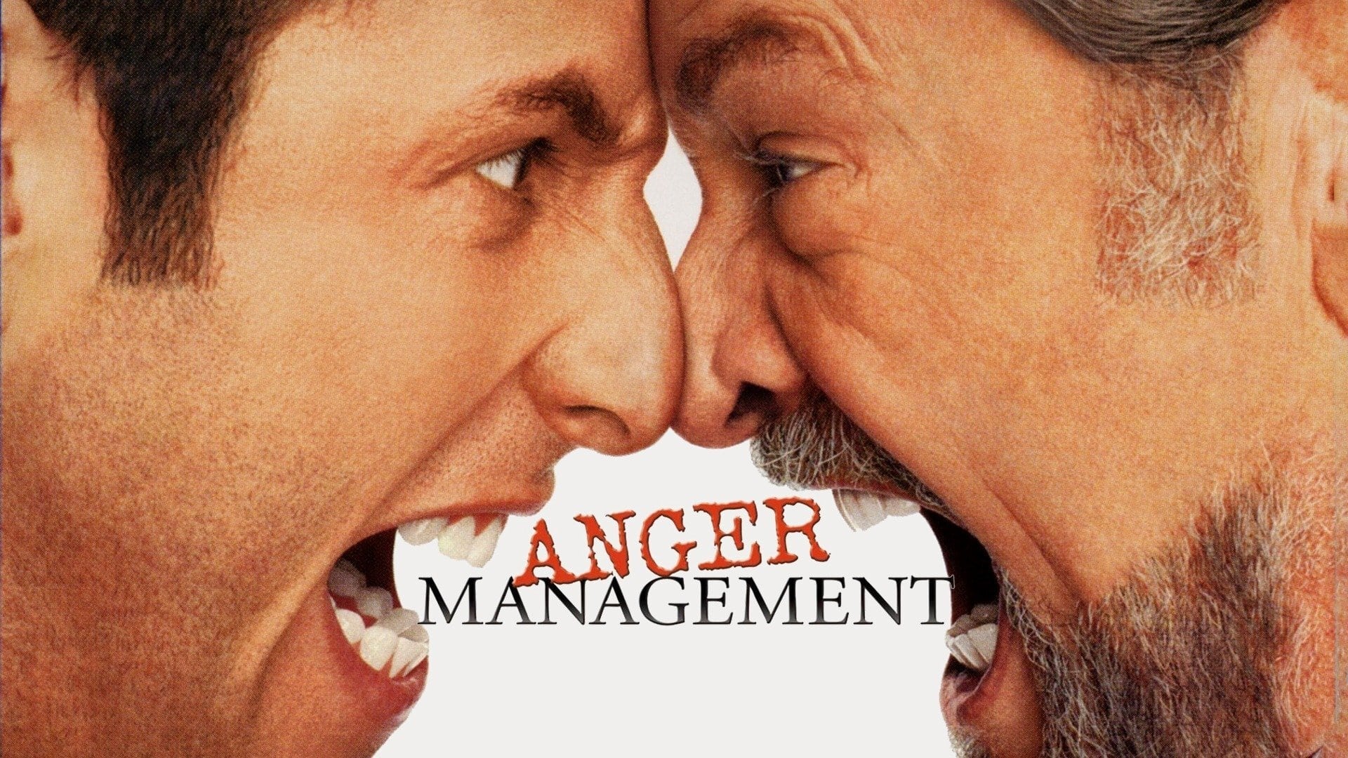 Anger Management (2003)