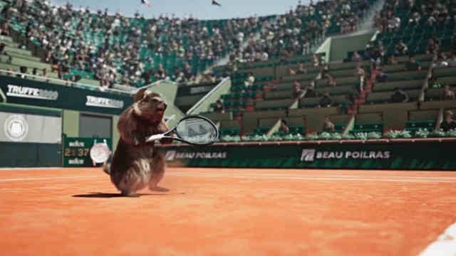 Les Marmottes - Tennis