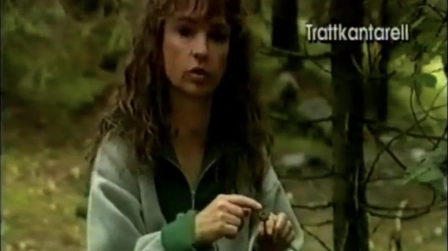 Christina's Mushroom School