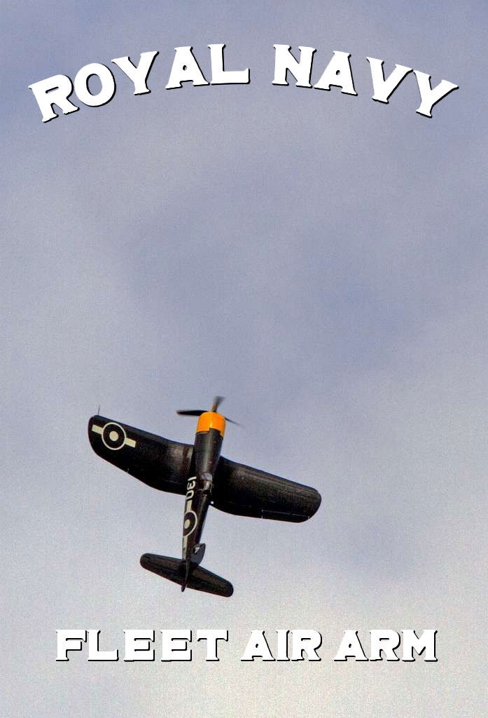 Navy Pilots: Fleet Air Arm