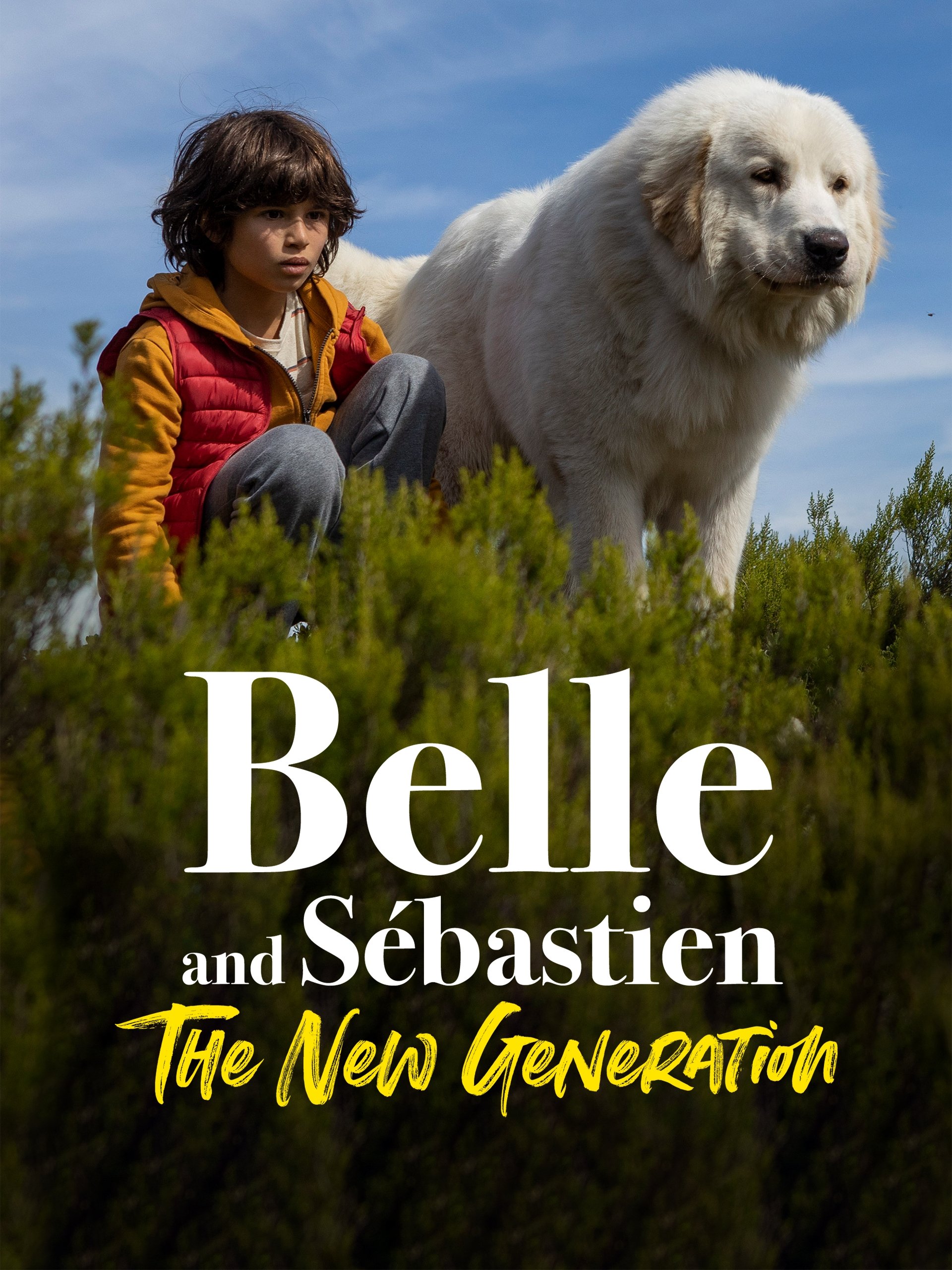 Belle and Sebastian: Next Generation