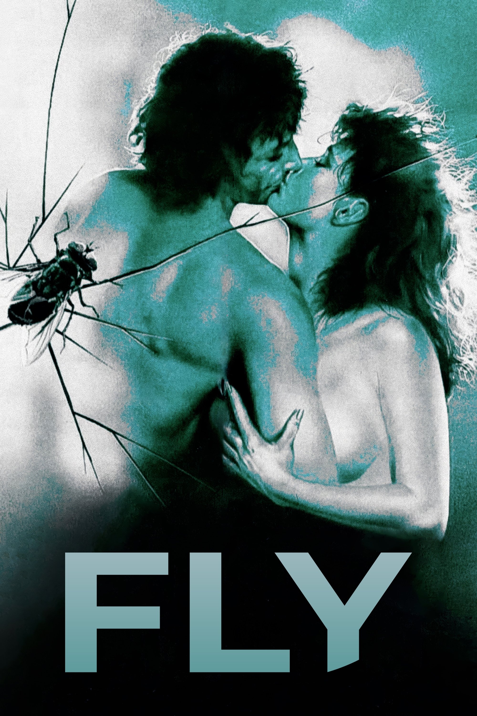 The Fly