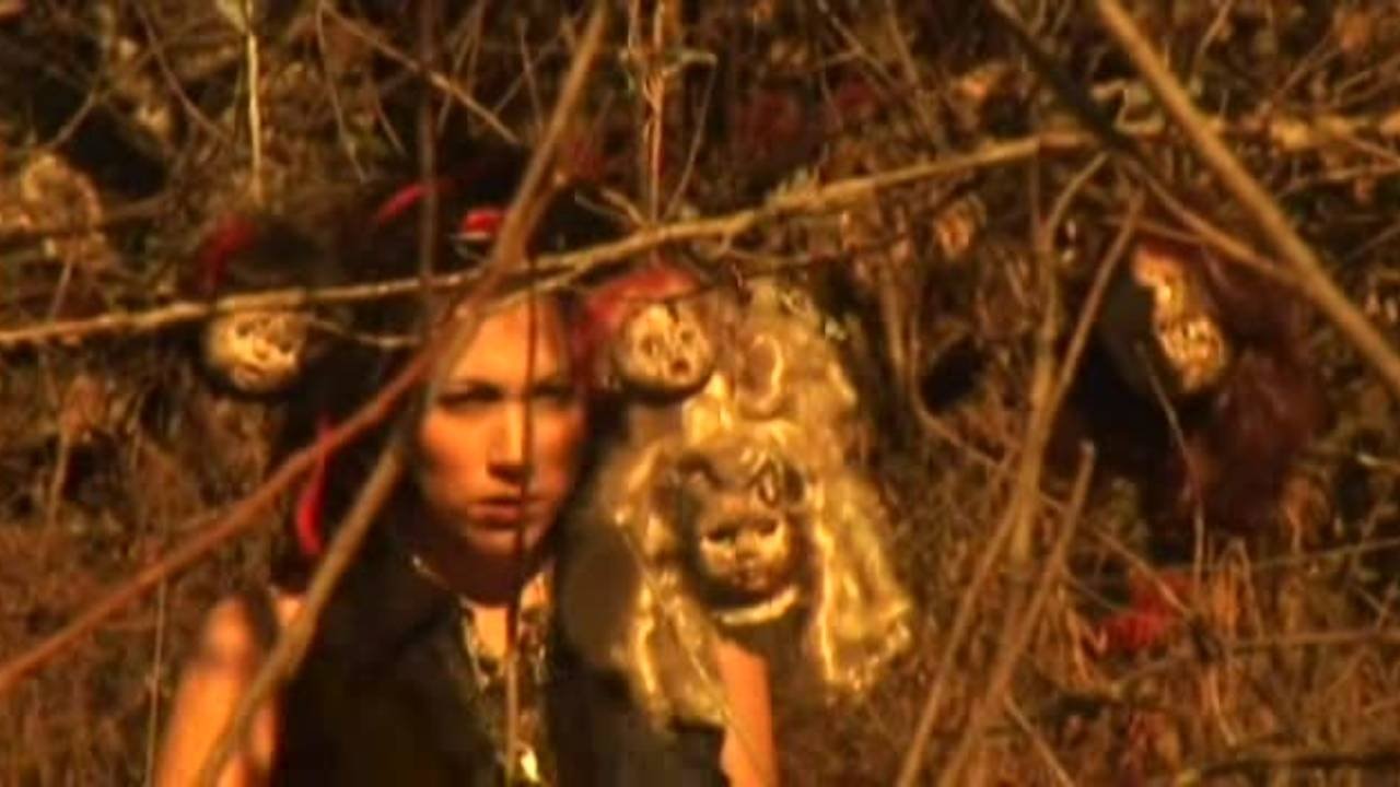 Silver Cell (2011)