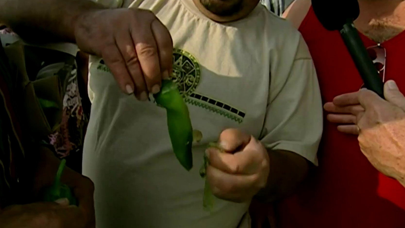 S13E9 · Green Chiles