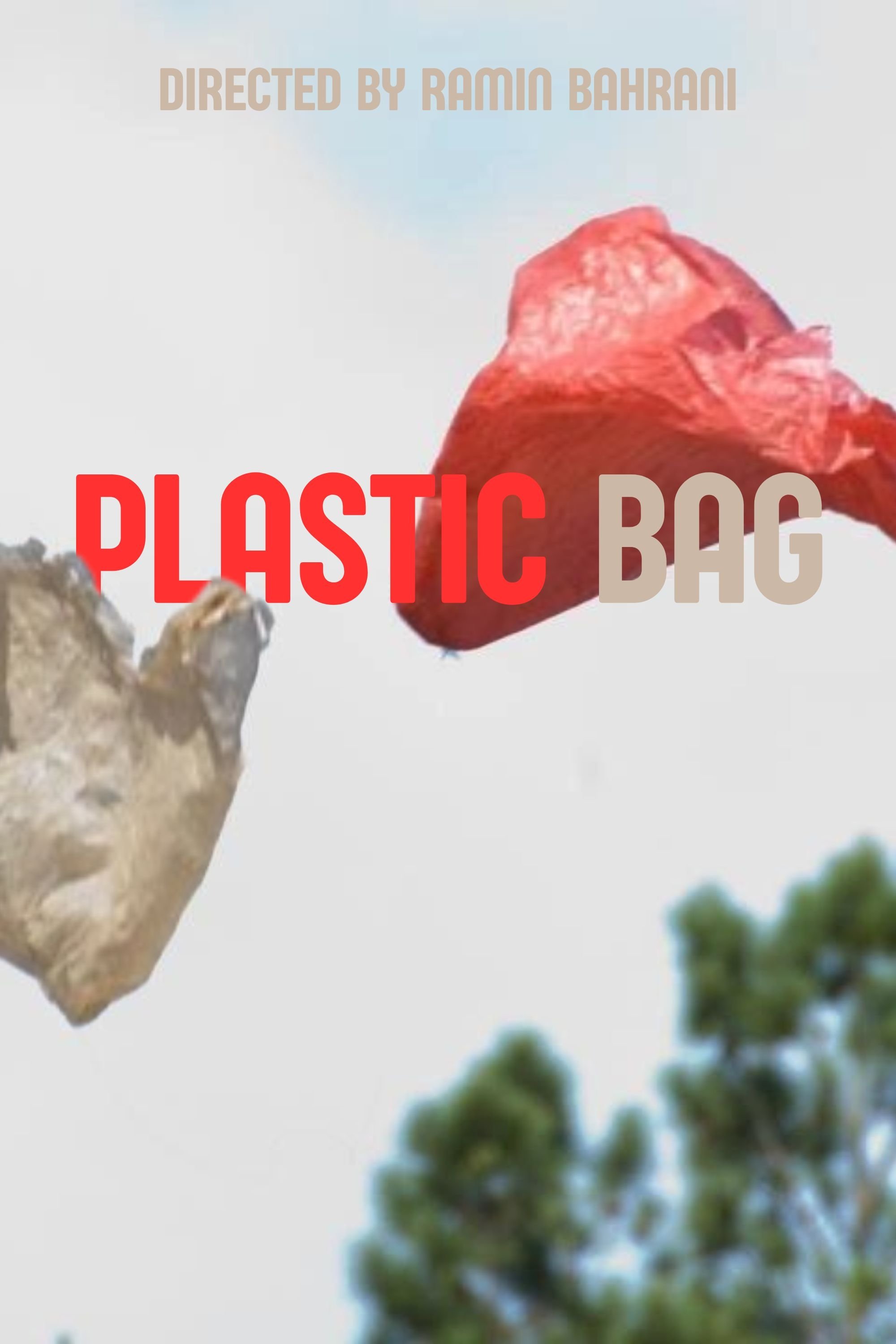 Plastic Bag