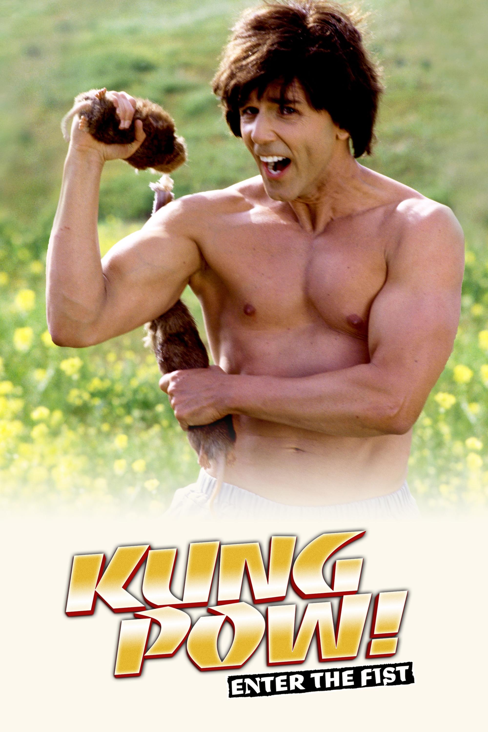 Kung Pow: Enter the Fist