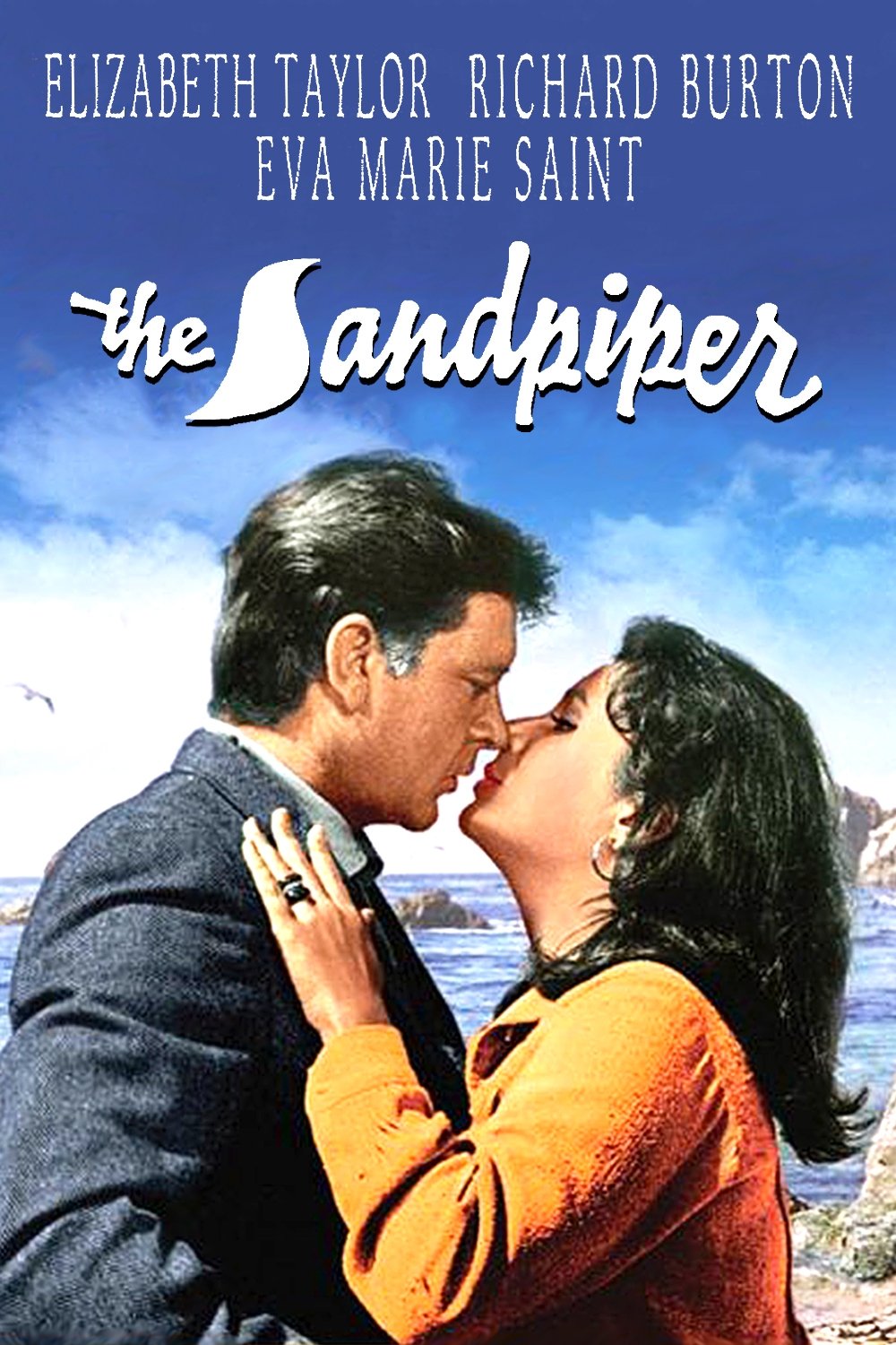 The Sandpiper