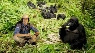 Thumbnail for Mountain Gorillas Season 1 Episode 6