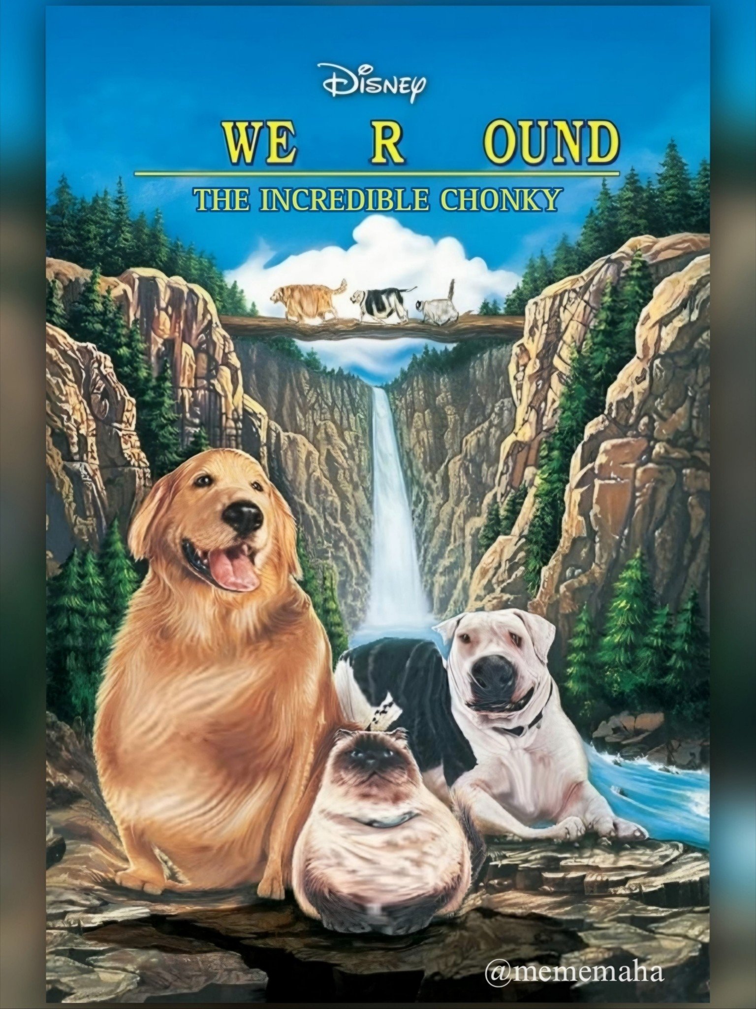 Homeward Bound: The Incredible Journey