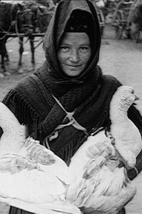 Travelogue of Hungary and Budapest