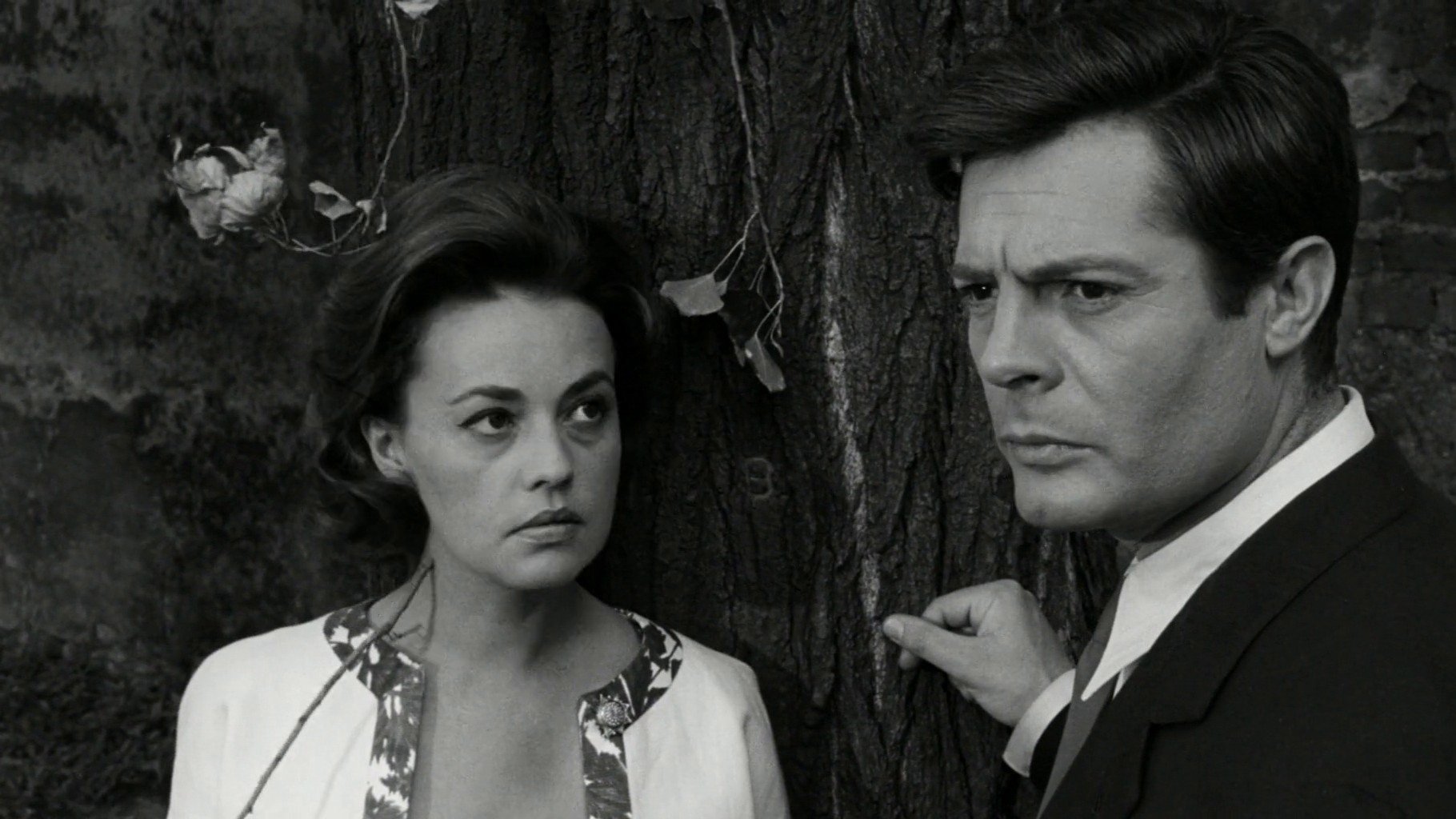 La Notte
