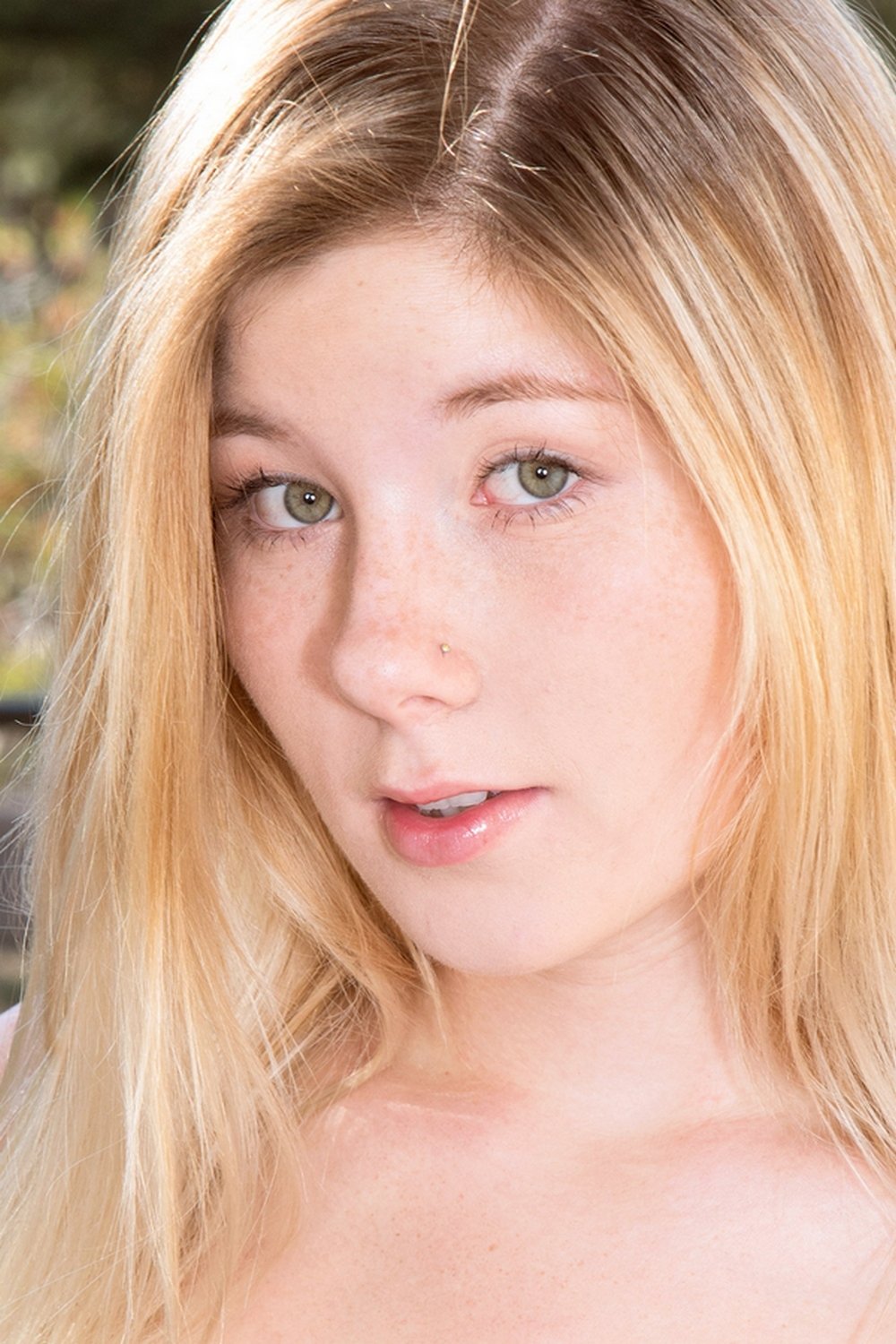 et billede af Vienna Rose