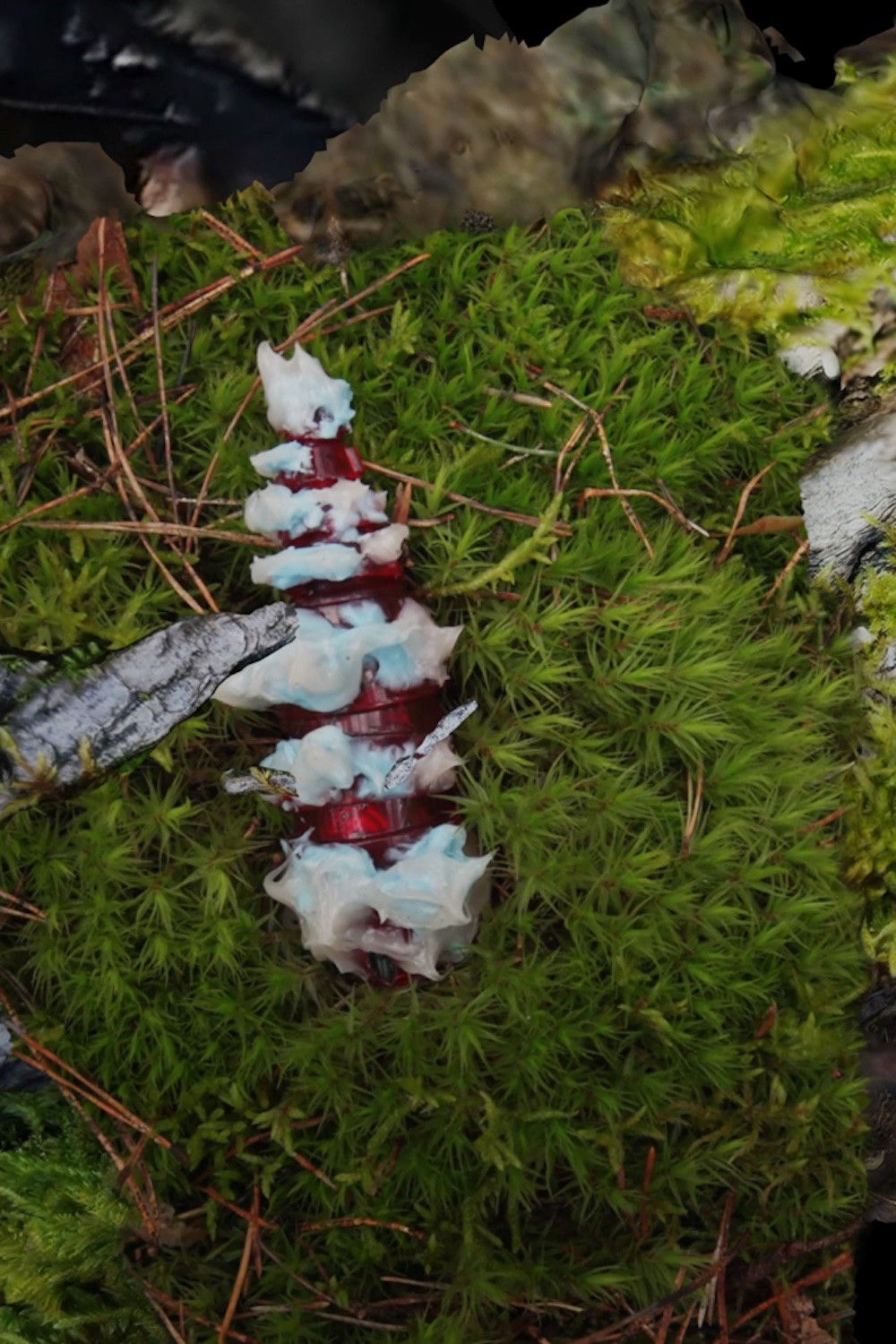 Fragmented Delicacies