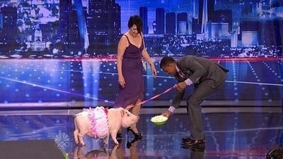 America's Got Talent Staffel 7 :Folge 10 