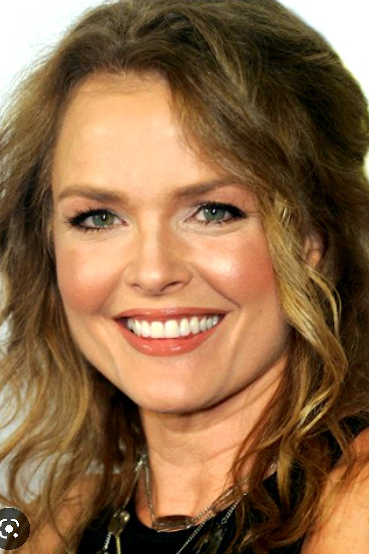 Dina Meyer Profile Images — The Movie Database (TMDB)