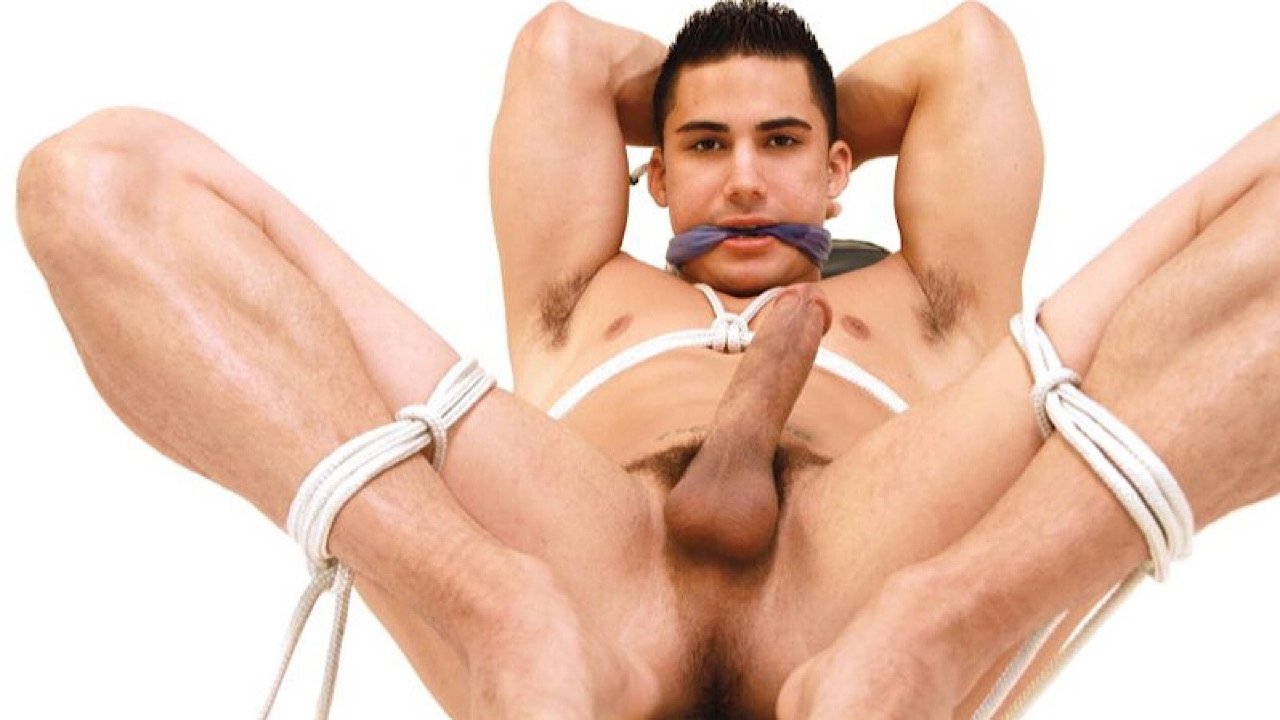 Bound Up Tight (2012)