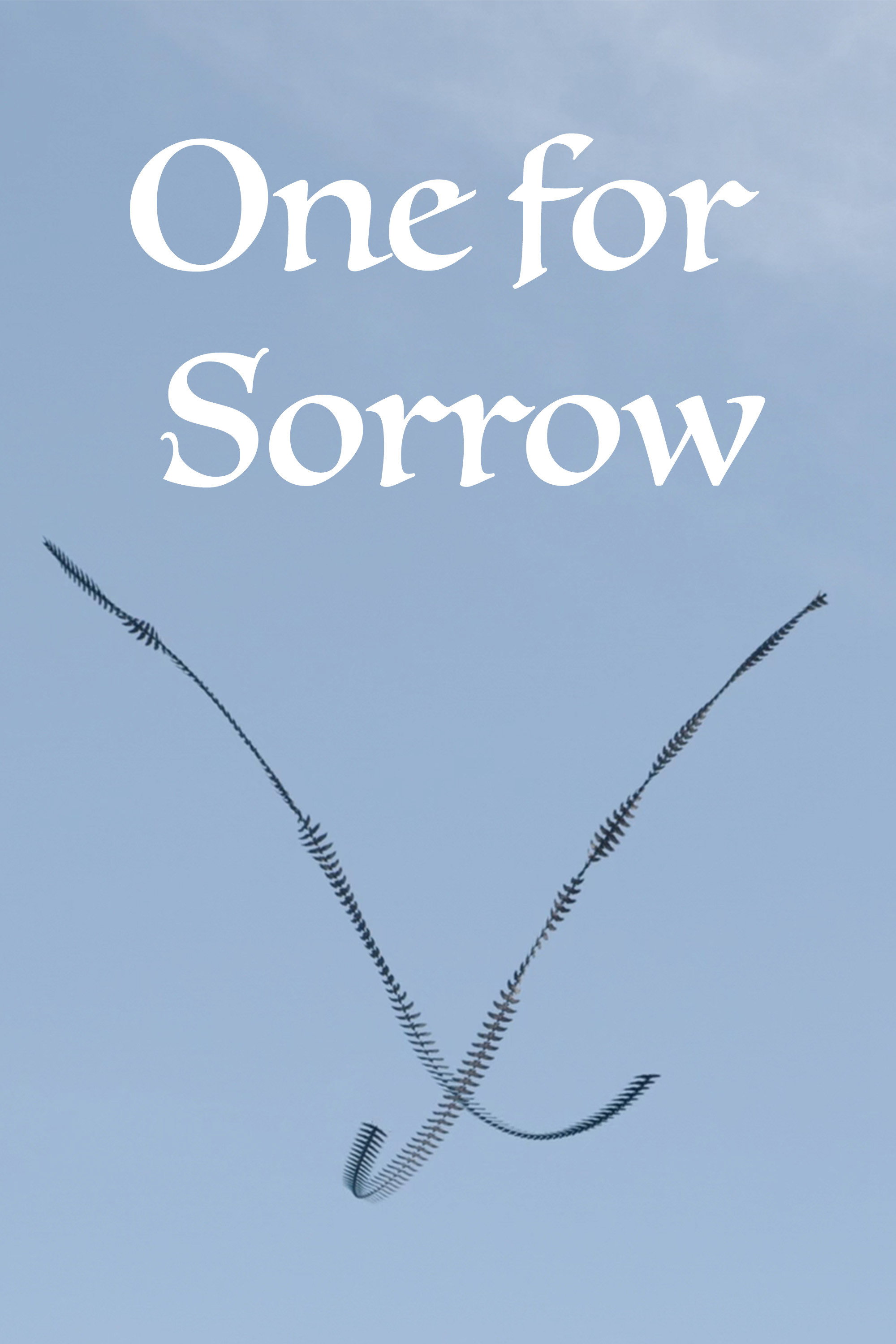 One for Sorrow Poster