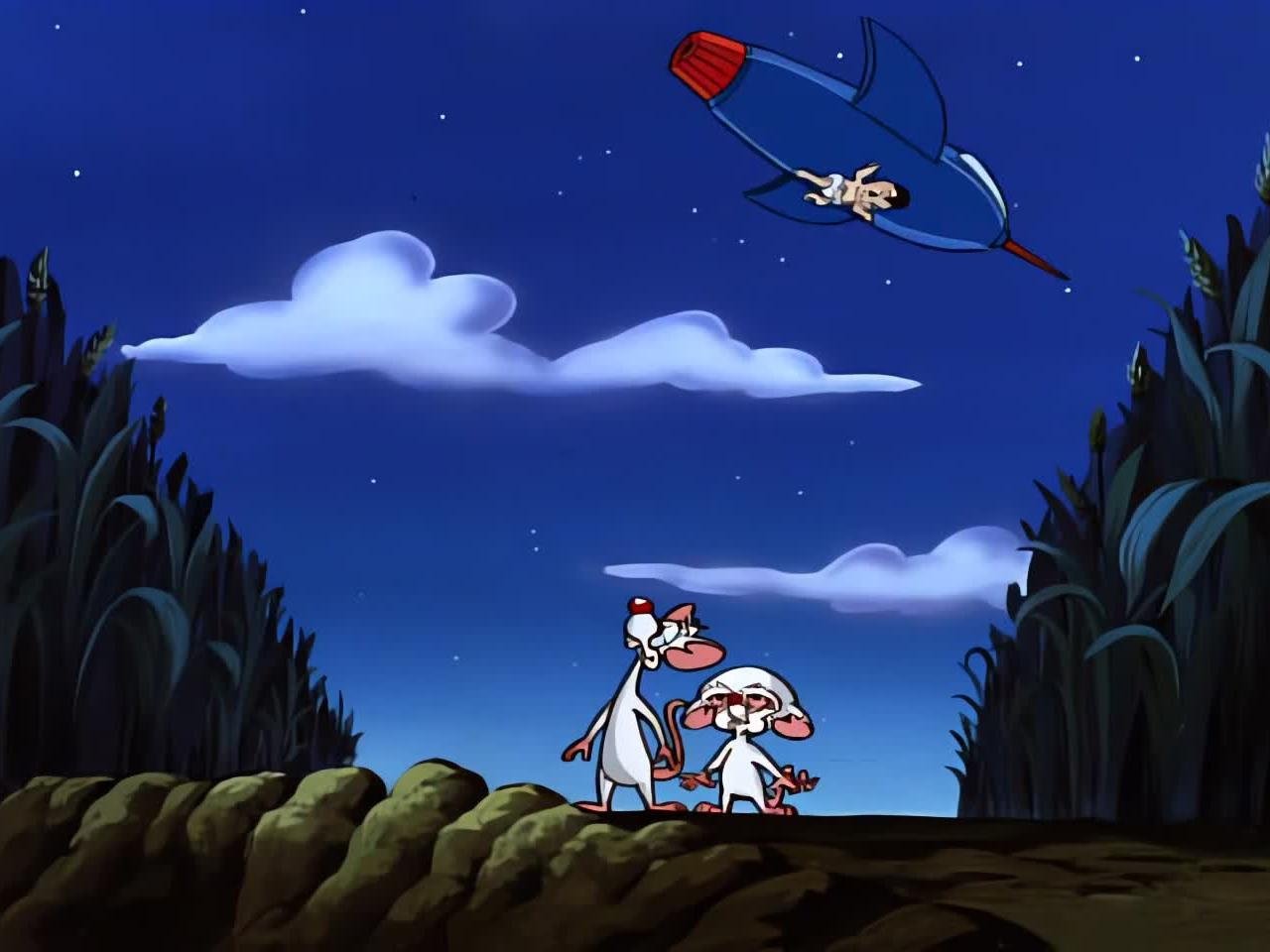 Pinky and the Brain
