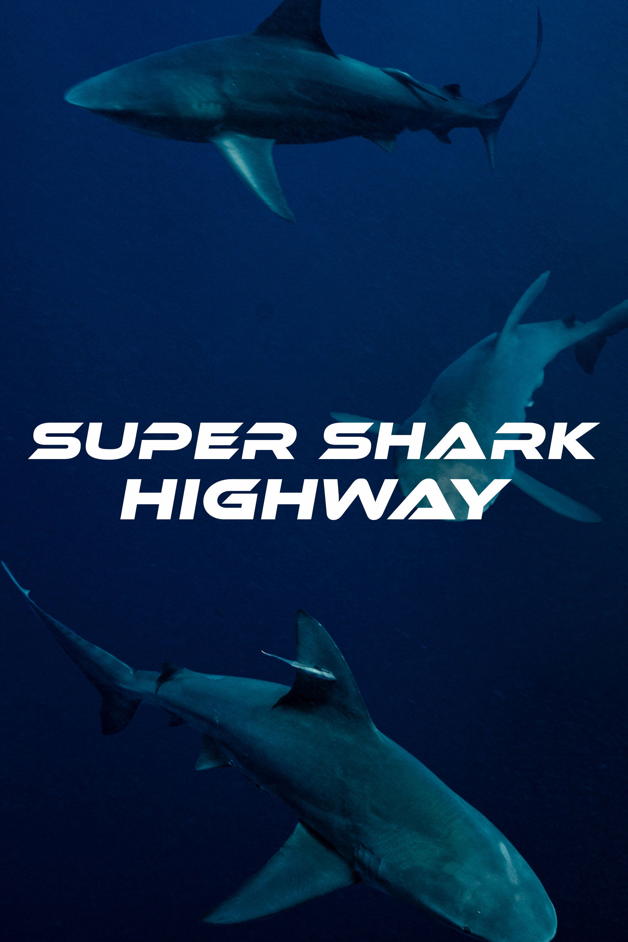 Super Shark Highway