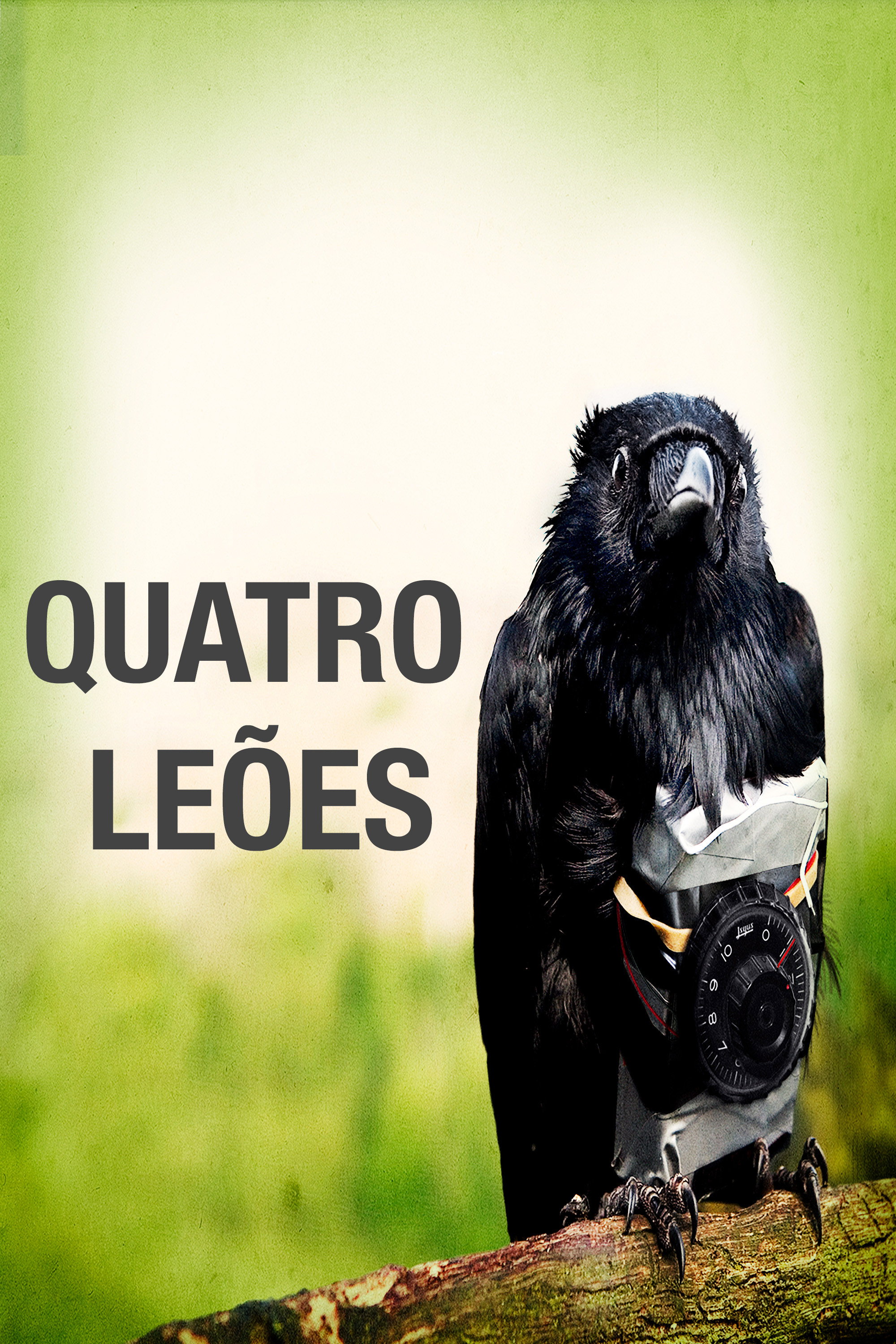 Assistir Quatro Leões