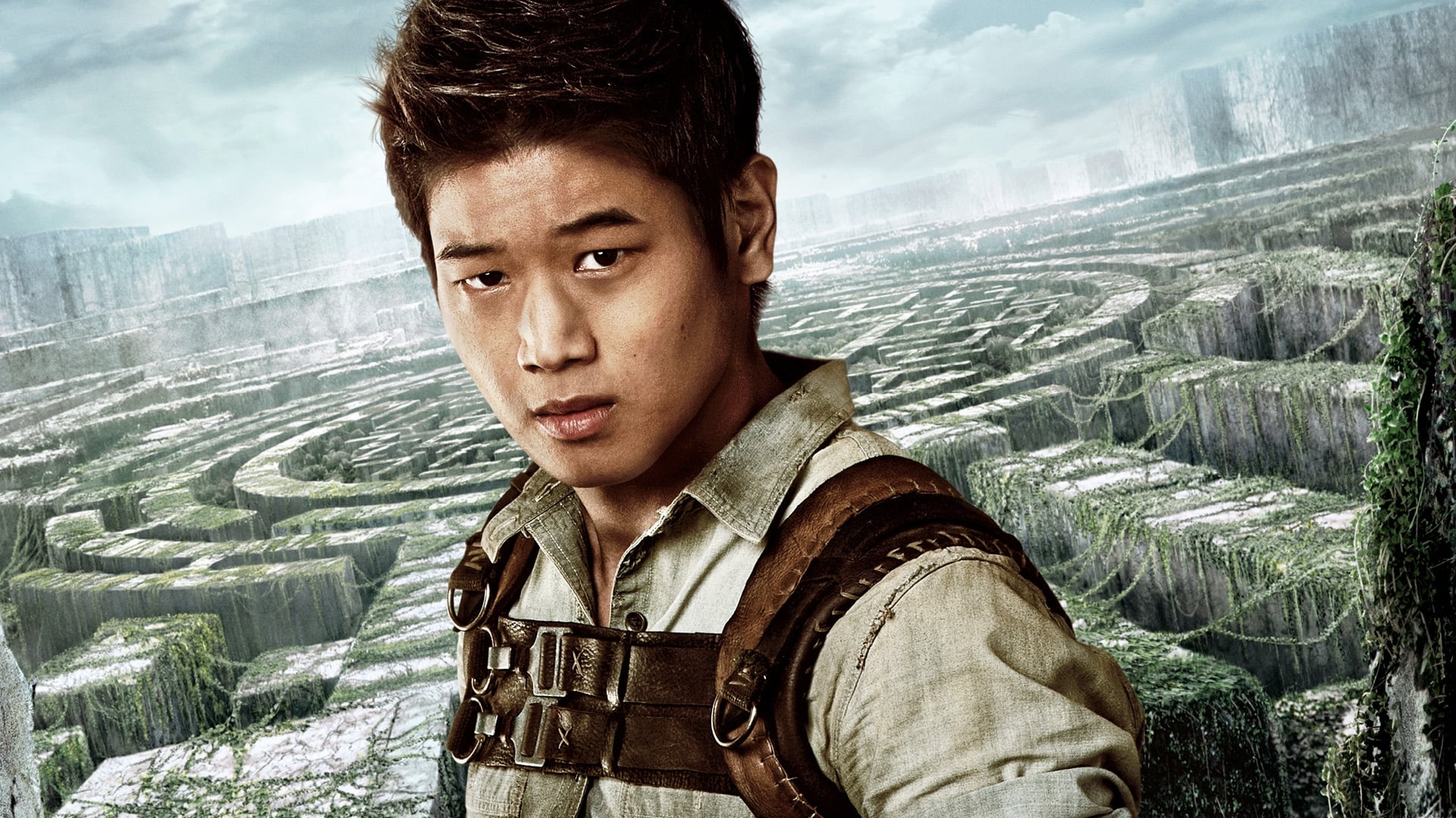 The Maze Runner